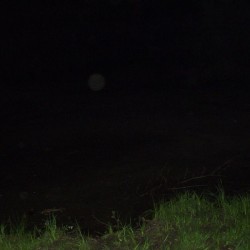 .vijver by night - Scouts en Gidsen Zaventem 